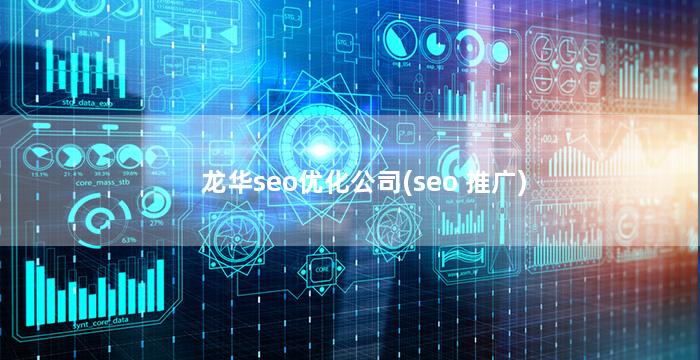 龙华seo优化公司(seo 推广)